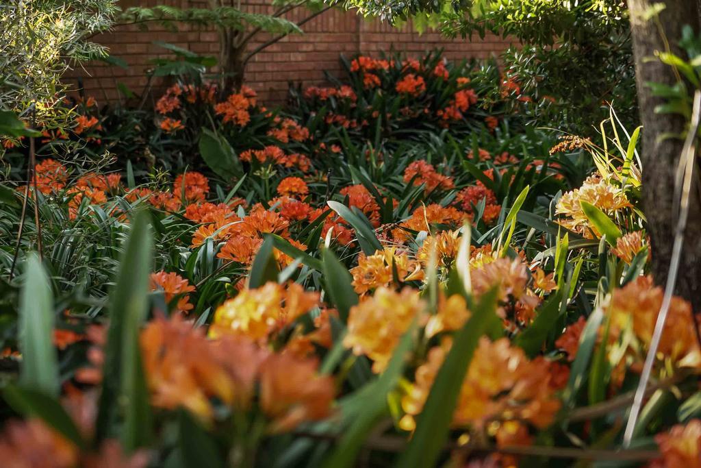 Hudson House Hotel Pretoria Exterior photo